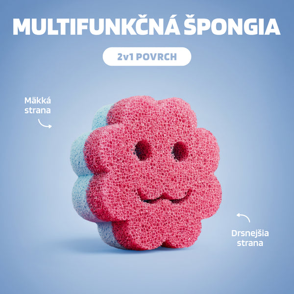Višenamjenska spužva