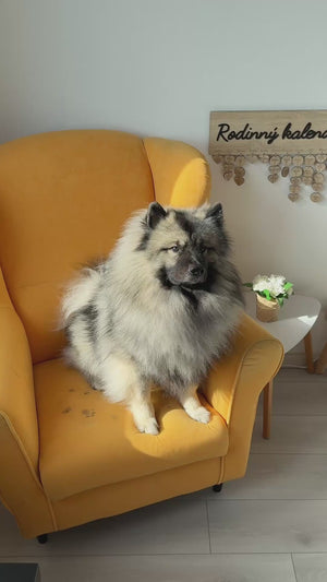 MAGIC univerzalna pasta za čišćenje